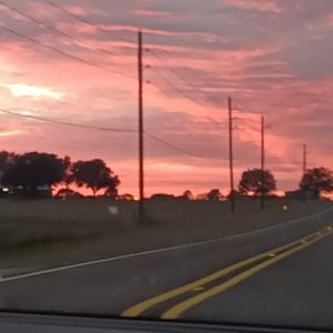 Meet your Posher, Genesis